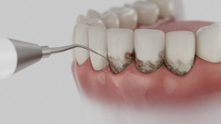 Reliable Dental contractor in Marlow Heights, MD by Dentist Open Now